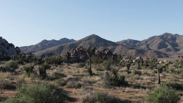 Desierto de California, efecto vértigo