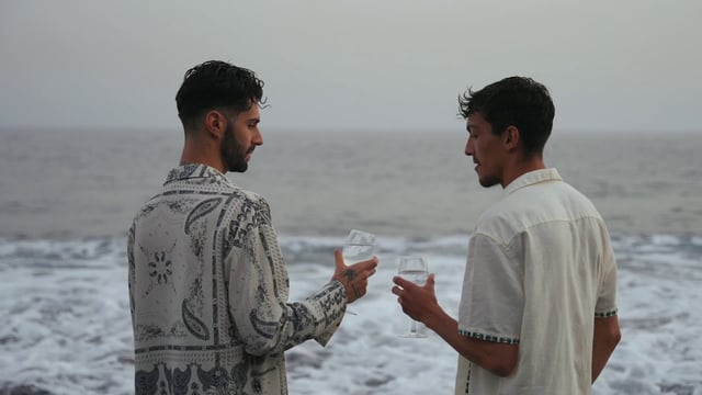 A loving gay couple clinks wine glasses at the beach - Free Stock Video ...