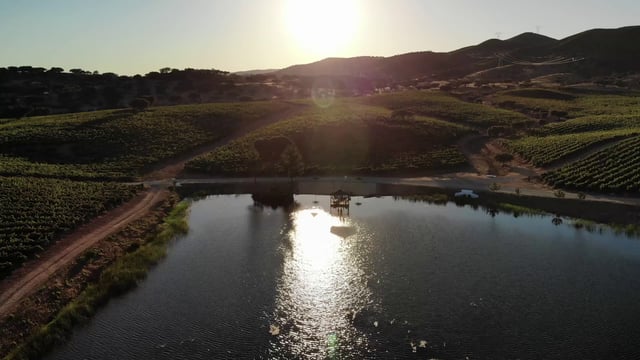 Lake in Alentejo, Portugal