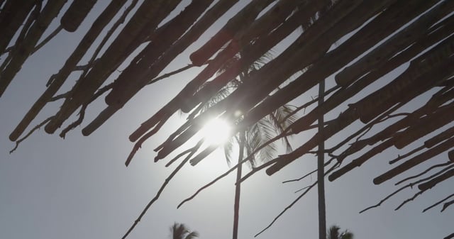Sun reflecting through a bamboo roof