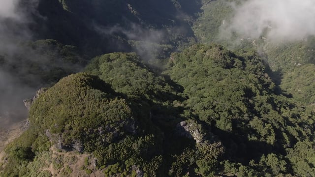 雾蒙蒙的群山