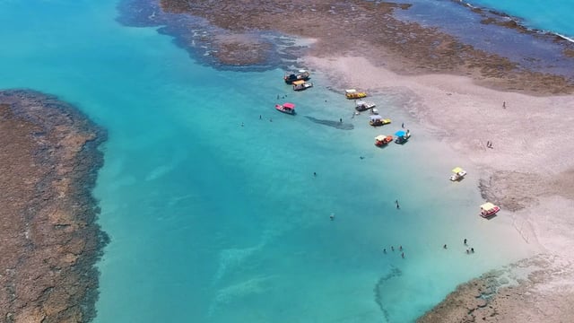 Una playa paradisíaca entre coral