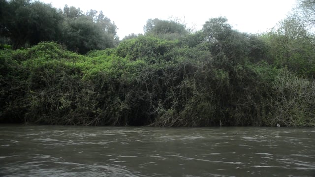 湍急的河流