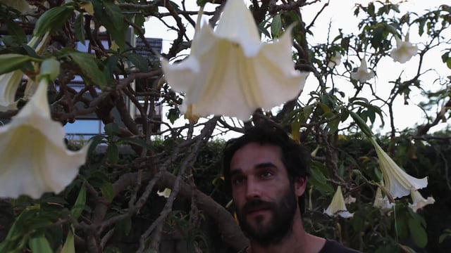 Man smelling flowers