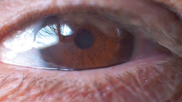 Extreme close-up of a brown eye