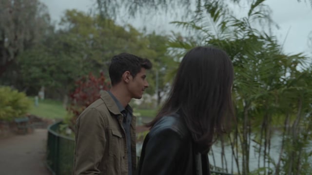 A couple walking through a city park