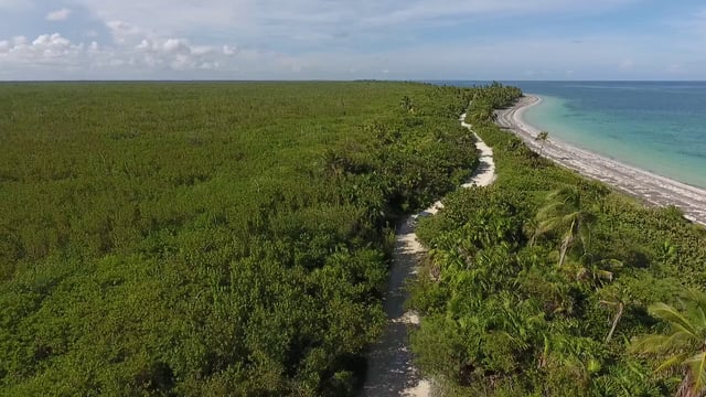 卡车在海滩附近行驶