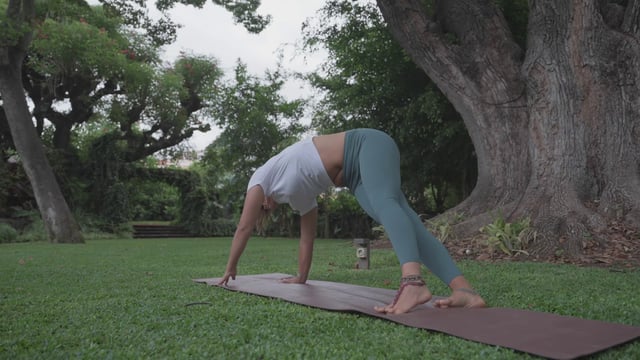 Chica hace pose de yoga de plancha lateral extendida sobre un césped