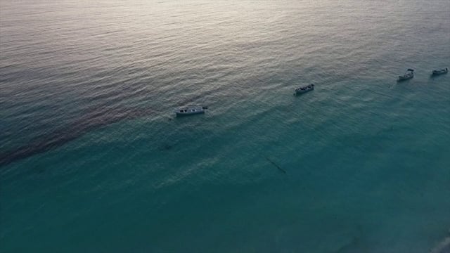 Barcos en el océano