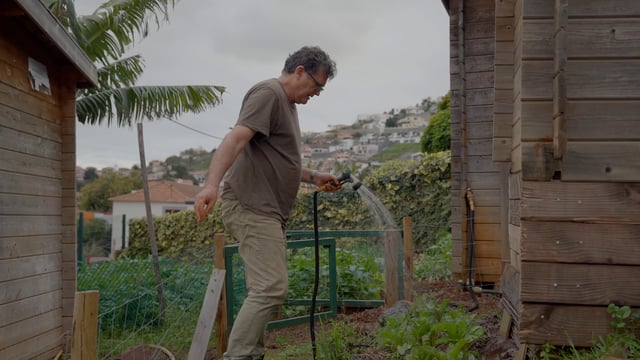 A man watering a vegetable garden