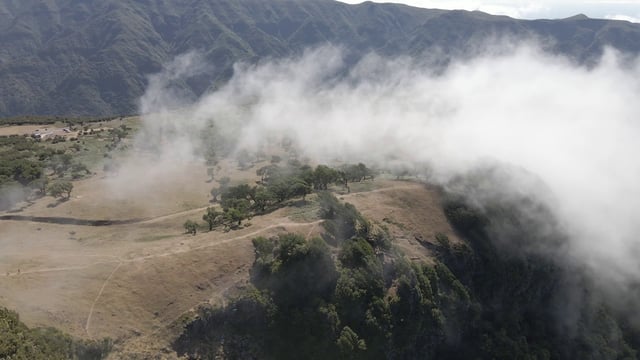 Fanal Madeira岛雾蒙蒙的山脉