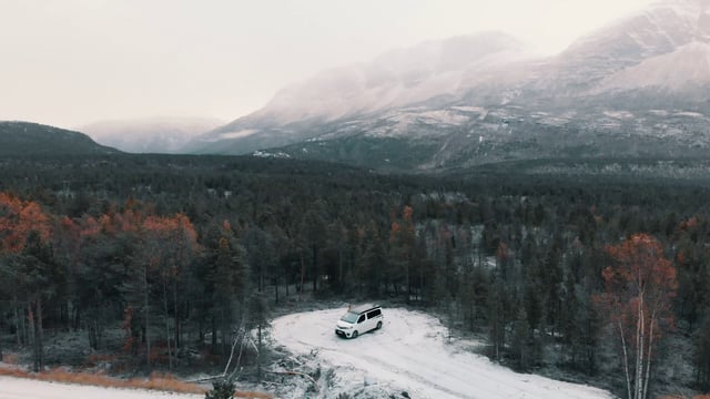 森林里的汽车