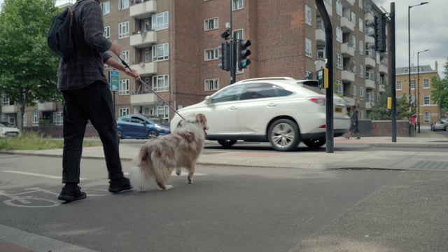 A man walks with a dog in the city