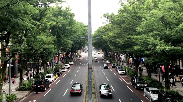 双向道路