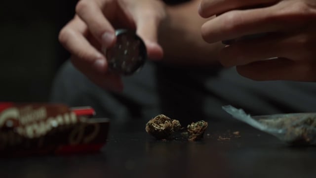 一名男子将大麻芽放入研磨机