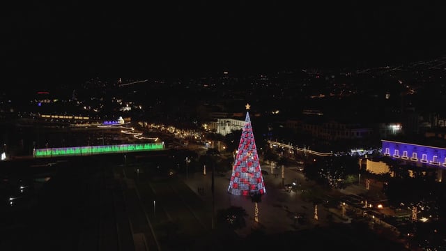 Christmas tree in the city center 