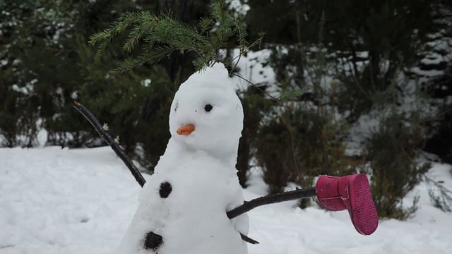 Muñeco de nieve en el bosque