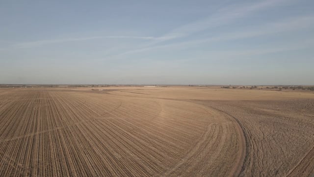 Un campo de cultivo de cebada