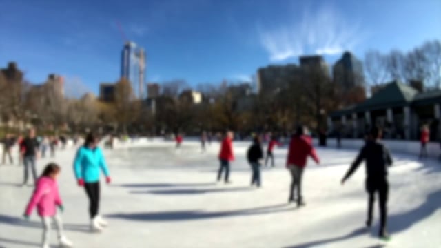 Familias de patinaje sobre hielo