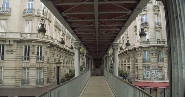 Crossing Bir-Hakeim Bridge in Paris 