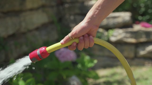 Watering flowers with a hosepipe