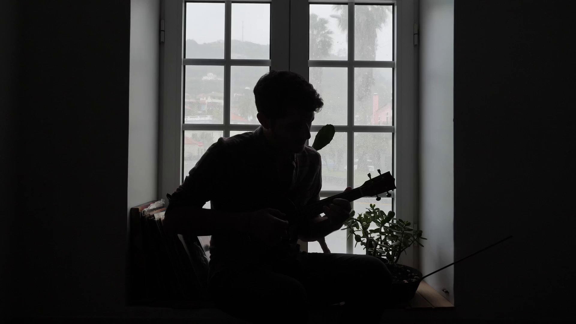 Silhouette of a person playing a guitar near a window with plants on the windowsill