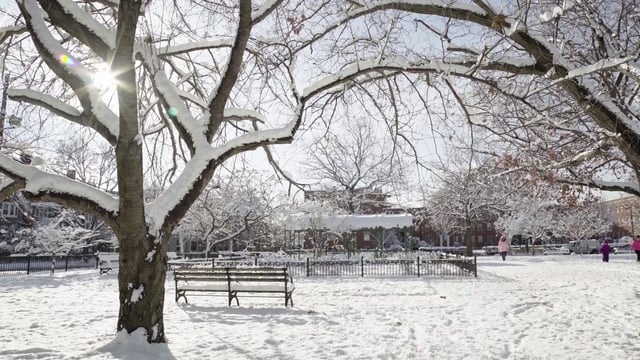 带长凳的雪地花园