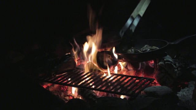 Cooking on the barbecue
