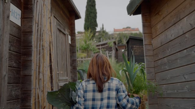 Jardinero femenino de vista posterior va con verduras recolectadas