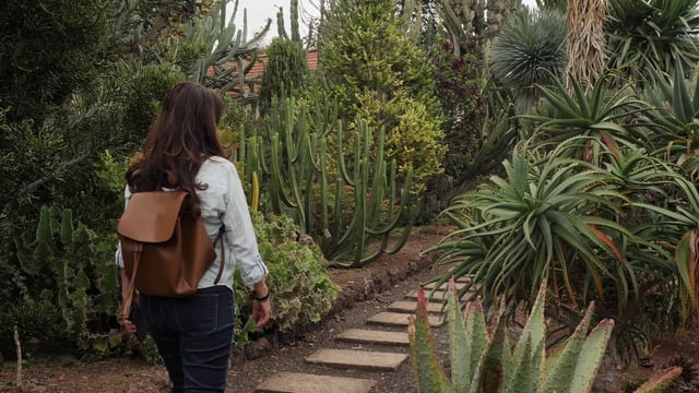 Tourist taking photos in a botanical garden