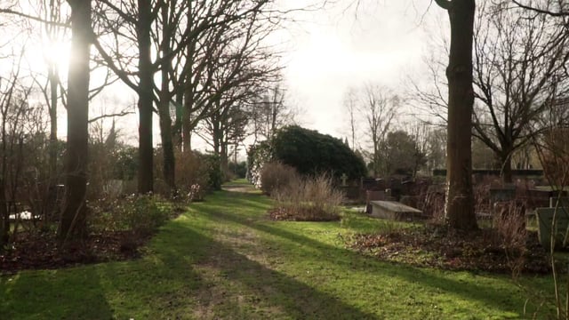 POV walking through a cemetery