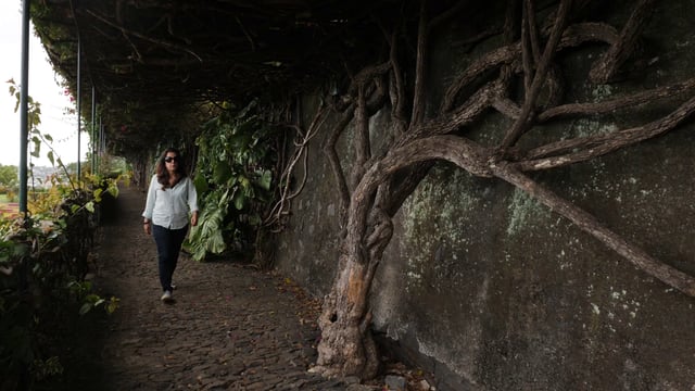 Mujer caminando en un jardín botánico