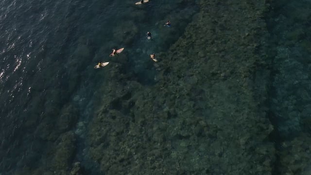 Group of surfers on the reef