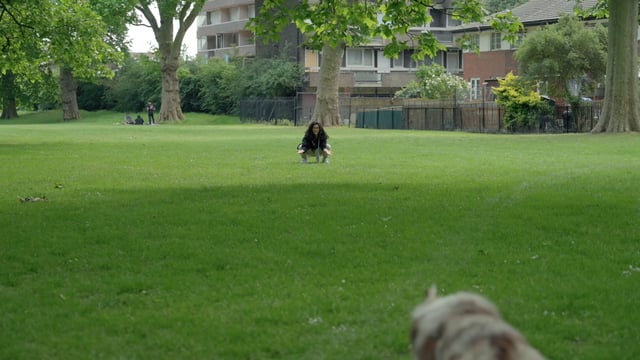 Un perro corre hacia su anfitrión en el parque.