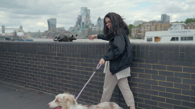 Una mujer se burla de su perro mostrándole una estatua de un gato