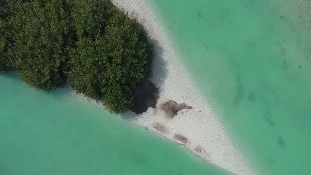 海洋中央的陆地