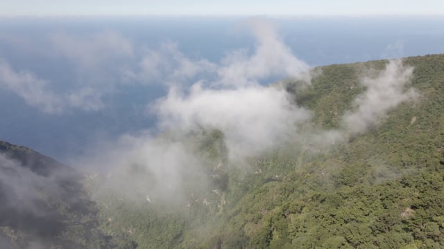 Fanal Madeira岛雾蒙蒙的山脉