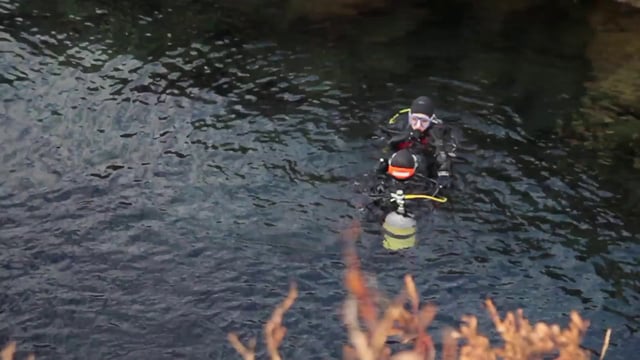 Diving in the lake