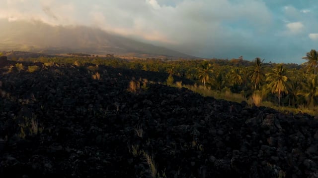 火山和棕榈树