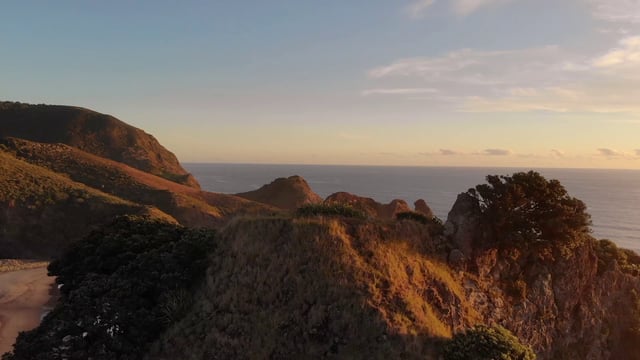 New Zealand coast 