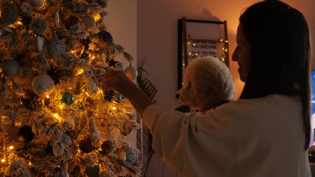 Perro observa como mujer decora el árbol de Navidad