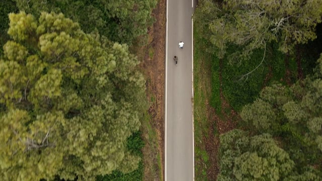 Friends riding on a skateboard on a road in the forest