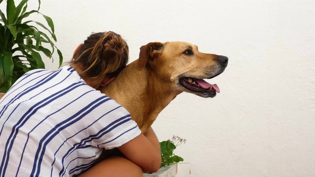 Woman hugging a dog 