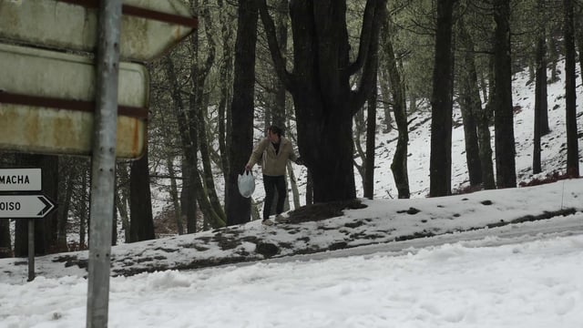 Un chico cruza la carretera en el bosque