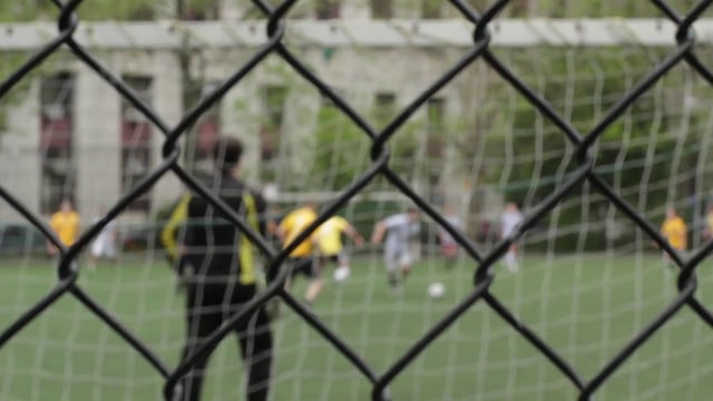 Scoring a goal in a soccer match