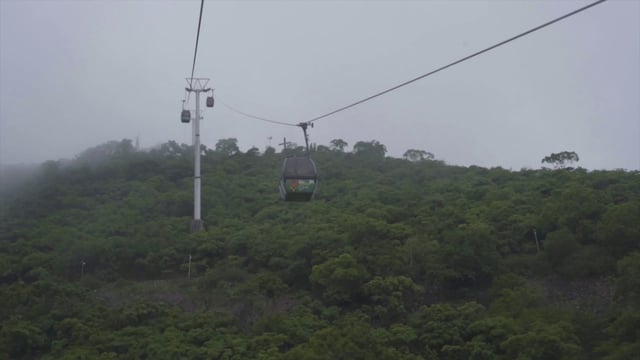 Cableway and forest in the mountains