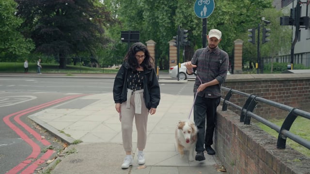 A couple walks with their dog in the city