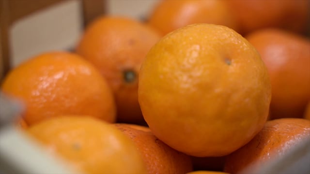 Mano recogiendo mandarinas