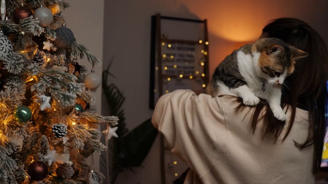 Mujer y gato cerca del árbol de Navidad