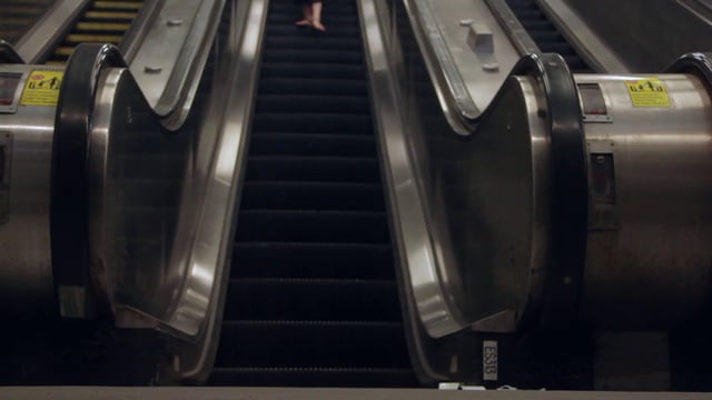 Woman with dog on escalator stairs